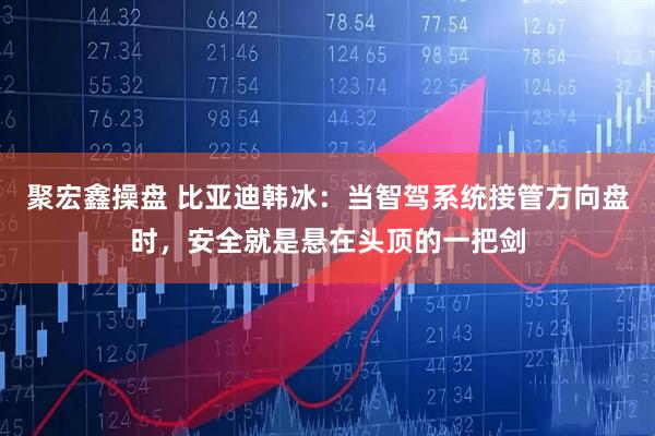 聚宏鑫操盘 比亚迪韩冰：当智驾系统接管方向盘时，安全就是悬在头顶的一把剑