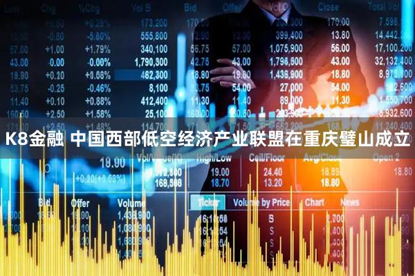 K8金融 中国西部低空经济产业联盟在重庆璧山成立