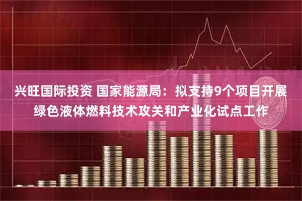 兴旺国际投资 国家能源局：拟支持9个项目开展绿色液体燃料技术攻关和产业化试点工作